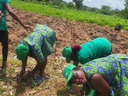 Practical session with the trainer